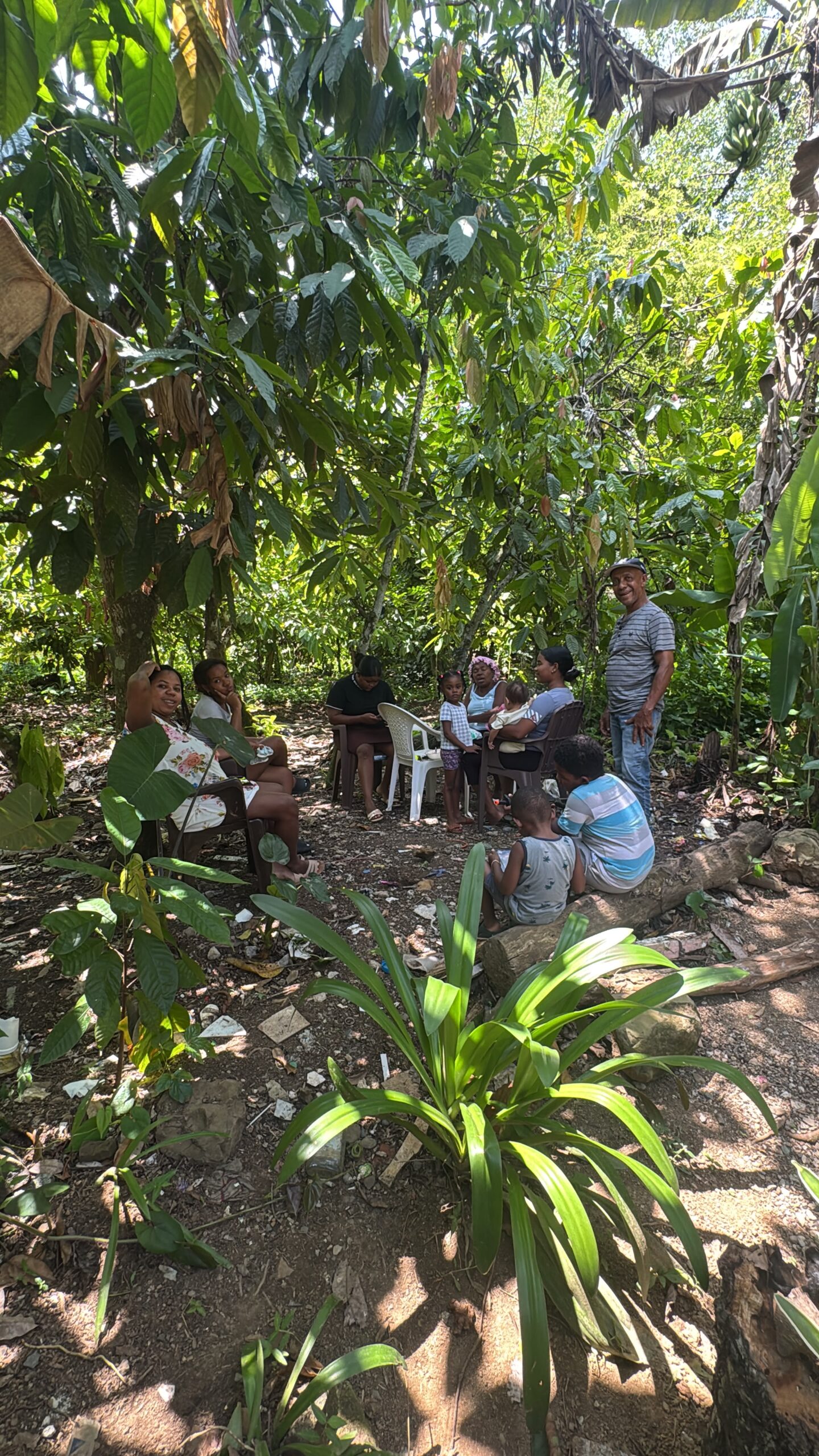 Extended family gathered under the cacao trees in Yamasá
